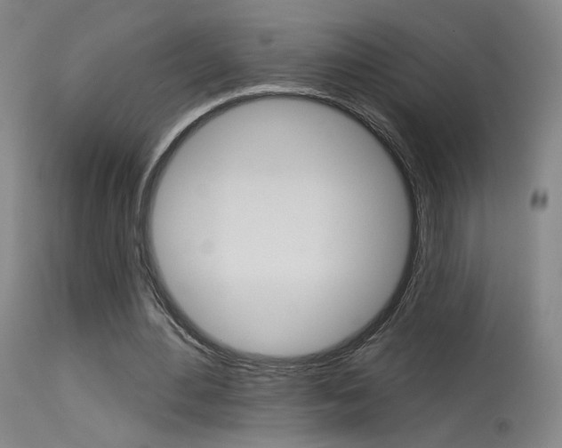 X0000115630484200911101122
