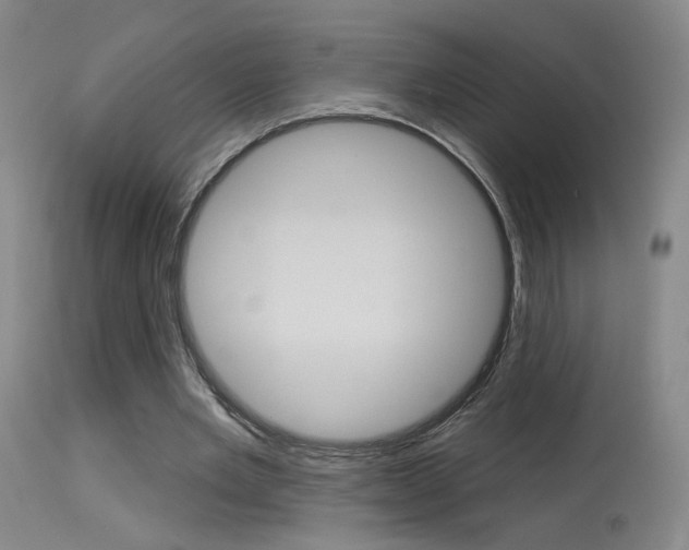 X0000115630485200911101122