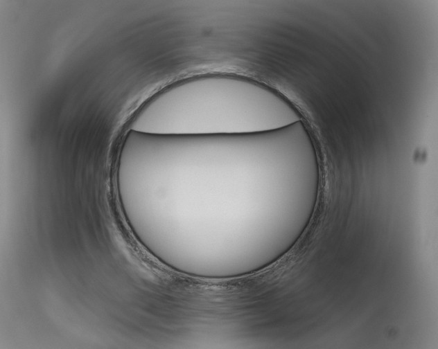 X0000115630486200911101122