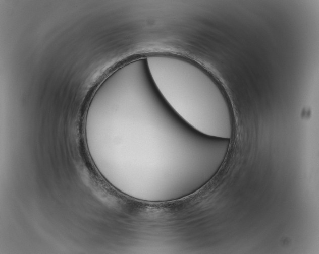 X0000115630487200911101122