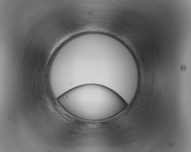 X0000115630488200911101122