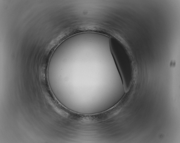 X0000115630489200911101122