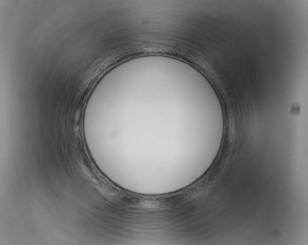 X0000115630490200911101122