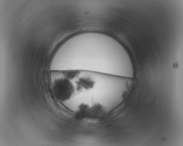 X0000115630491200911101122