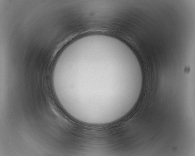 X0000115630492200911101122