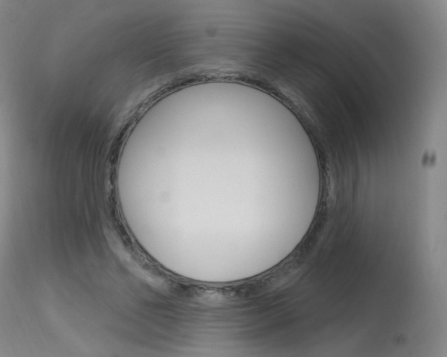 X0000115630494200911101122