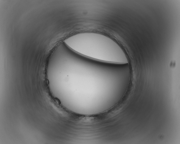 X0000115630497200911101121