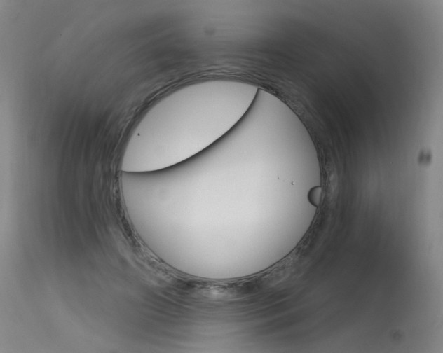 X0000115630498200911101121