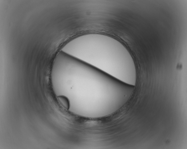 X0000115630499200911101121