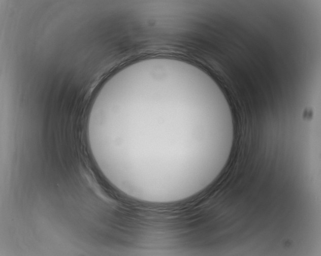 X0000115630500200911101121