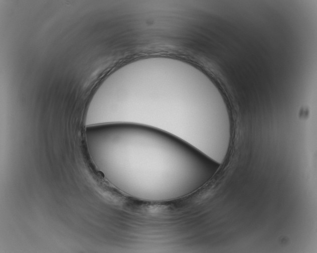 X0000115630501200911101121
