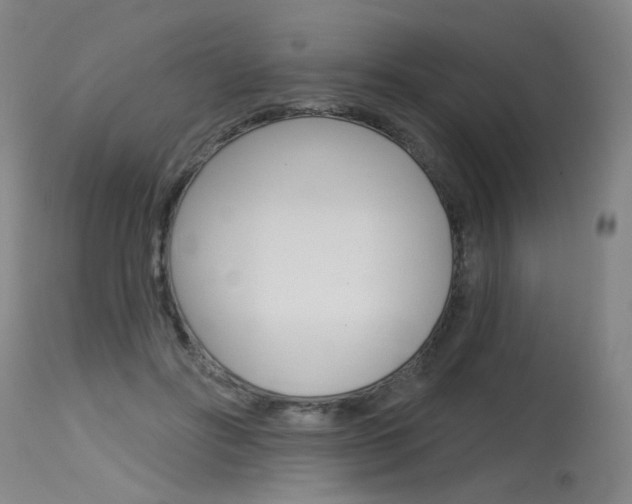 X0000115630502200911101121