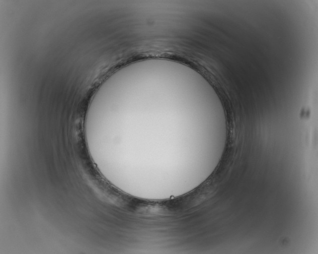 X0000115630503200911101121