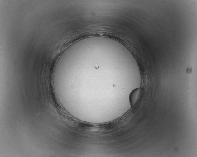X0000115630504200911101121