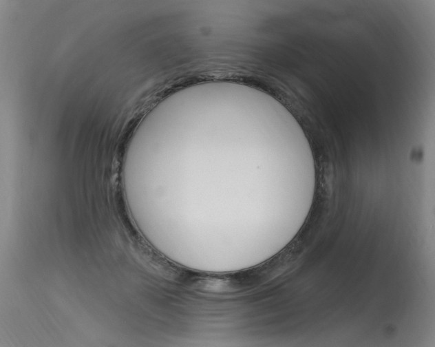 X0000115630507200911101121