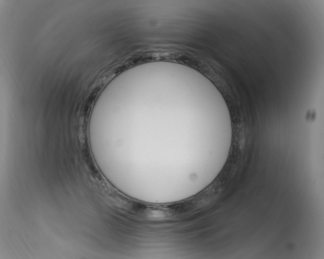 X0000115630510200911101121