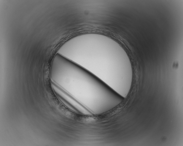 X0000115630513200911101121