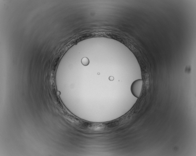 X0000115630514200911101121