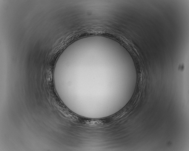 X0000115630517200911101121