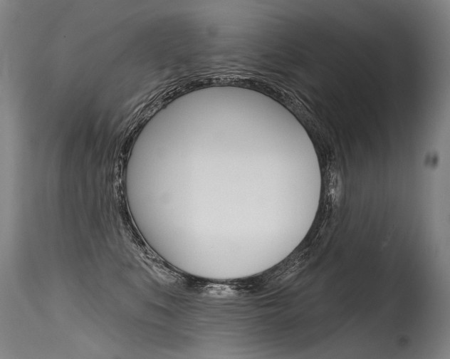 X0000115630519200911101121