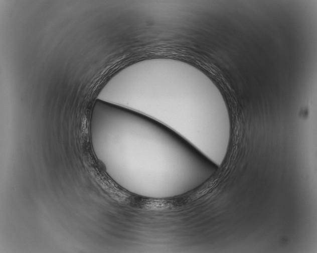 X0000115630521200911101121