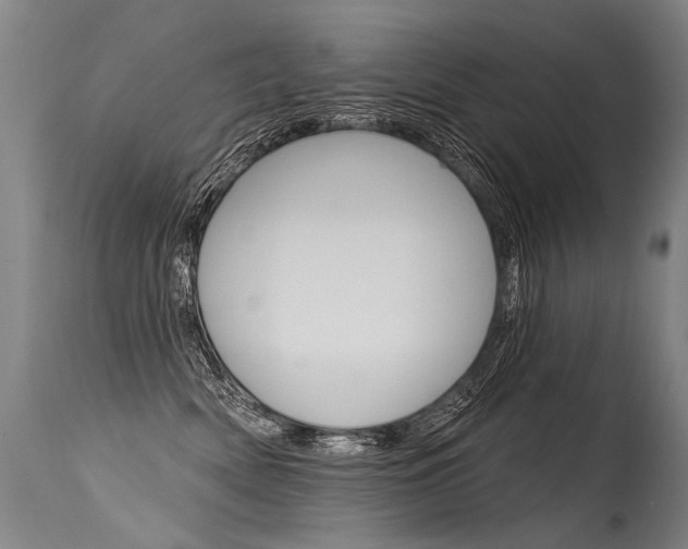 X0000115630522200911101121