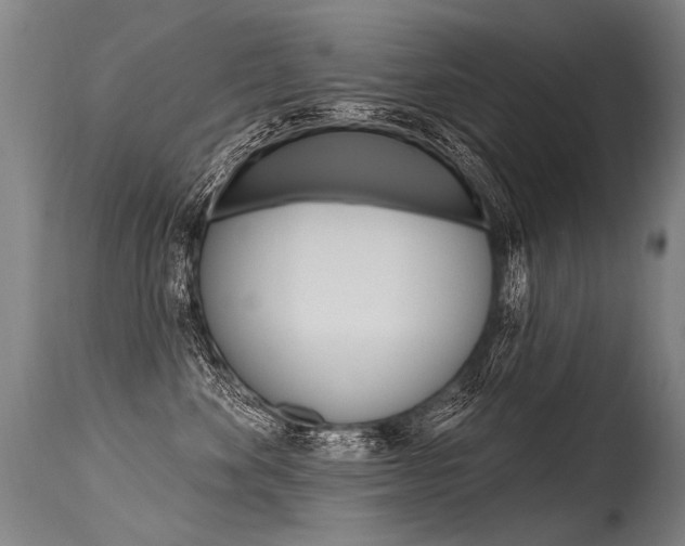 X0000115630524200911101121