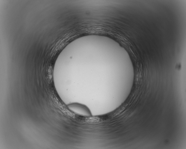 X0000115630525200911101121