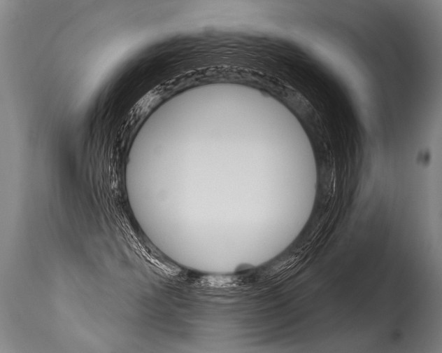 X0000115630526200911101121