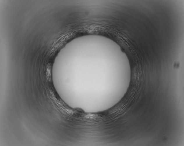 X0000115630527200911101121