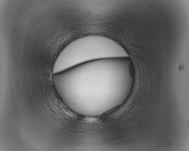 X0000115630528200911101121
