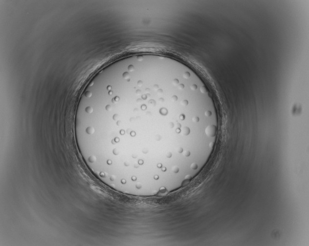 X0000115630529200911101120