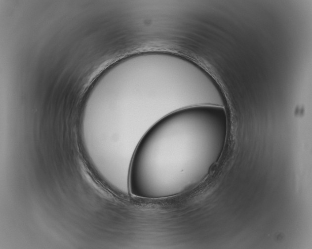 X0000115630530200911101120