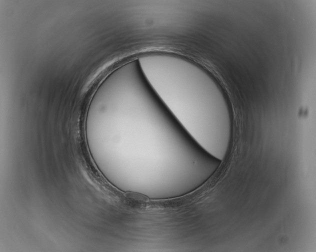 X0000115630531200911101120