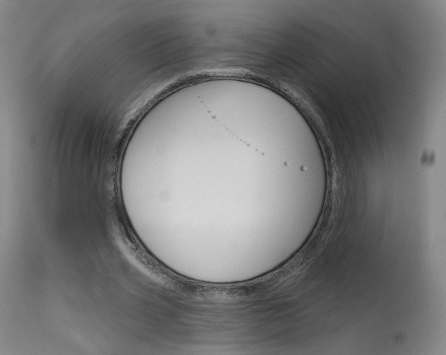 X0000115630533200911101120