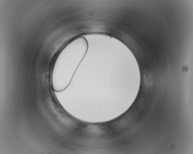 X0000115630534200911101120