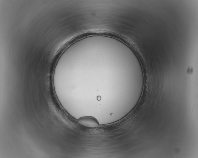 X0000115630535200911101120
