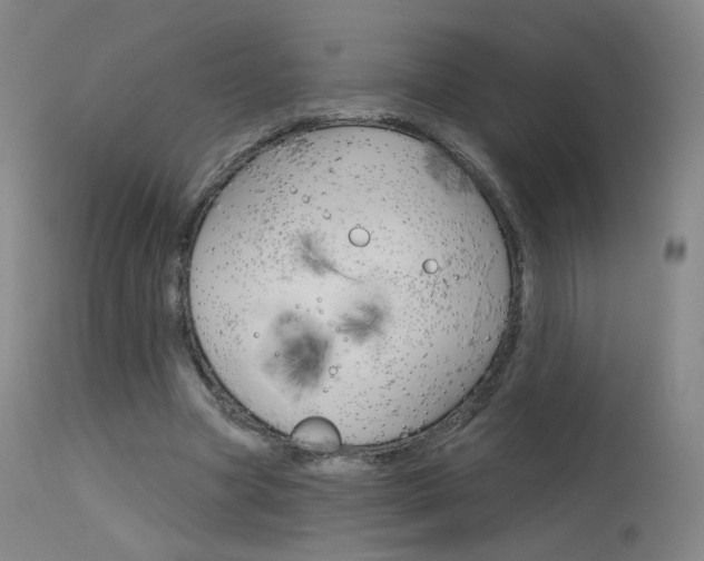 X0000115630537200911101120