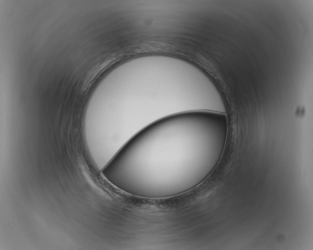 X0000115630538200911101120