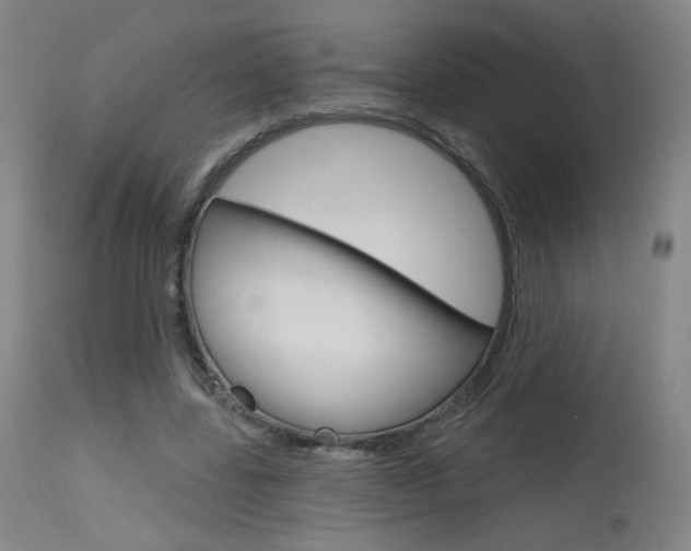 X0000115630539200911101121