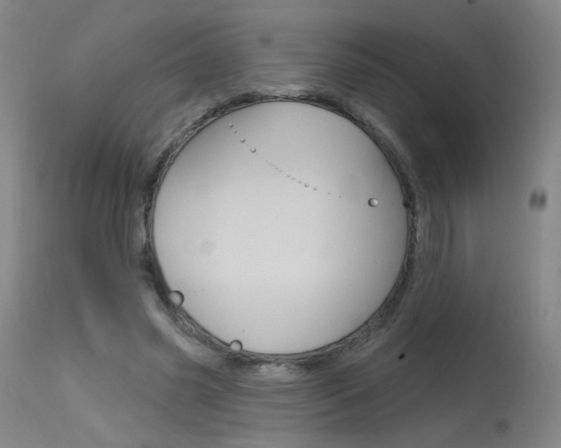X0000115630541200911101121