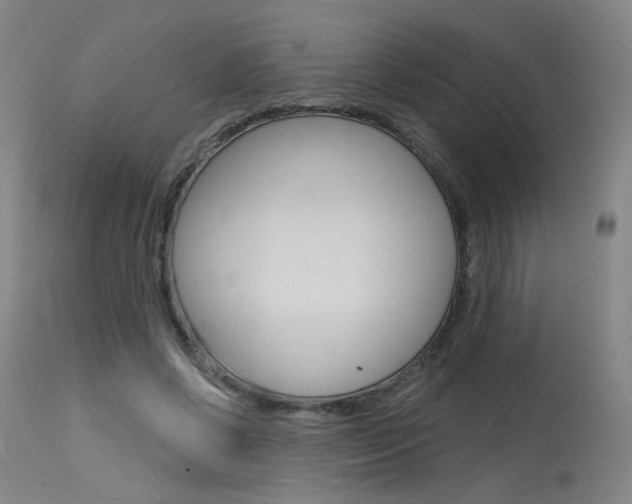 X0000115630542200911101121