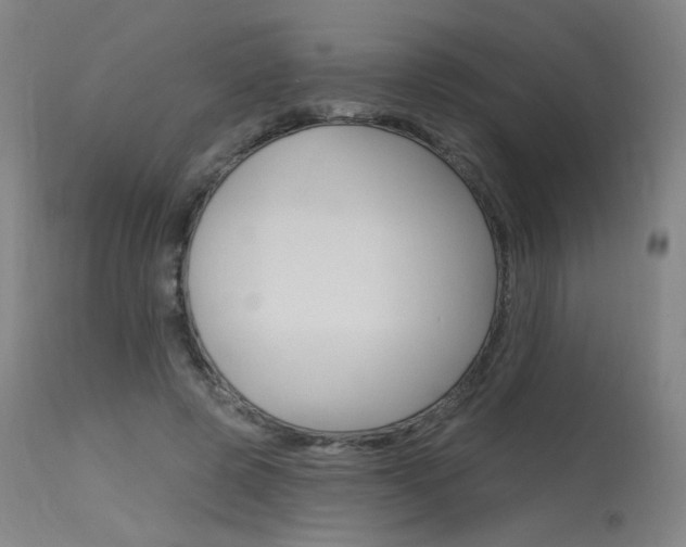 X0000115630545200911101121