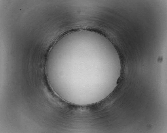 X0000115630546200911101121
