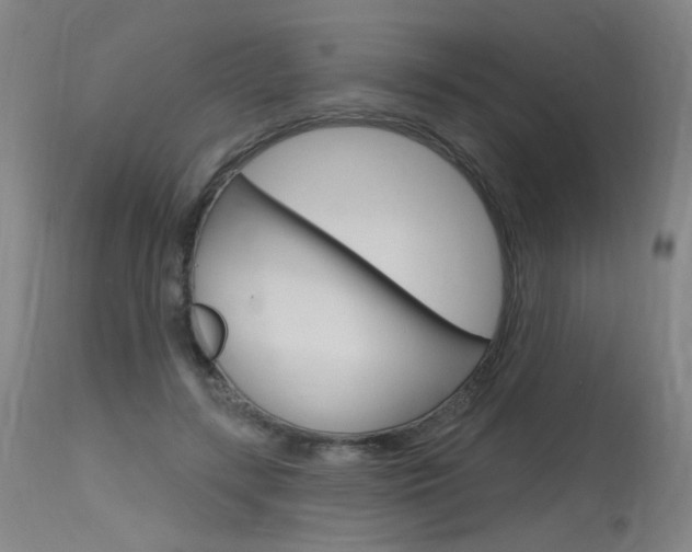 X0000115630547200911101121