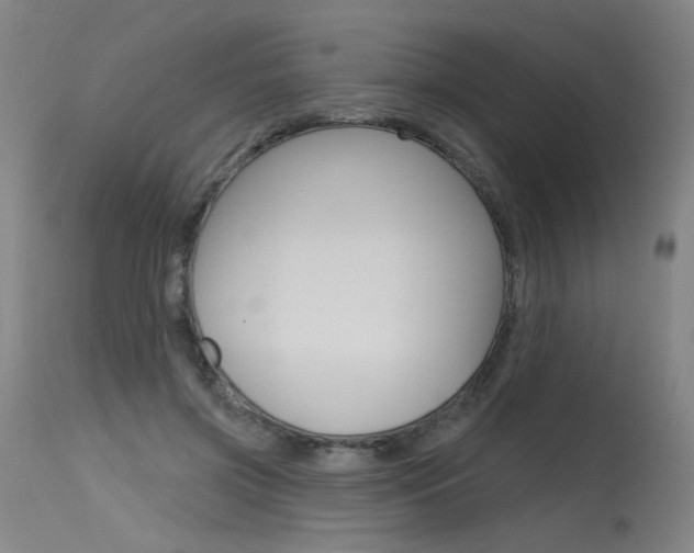 X0000115630549200911101121