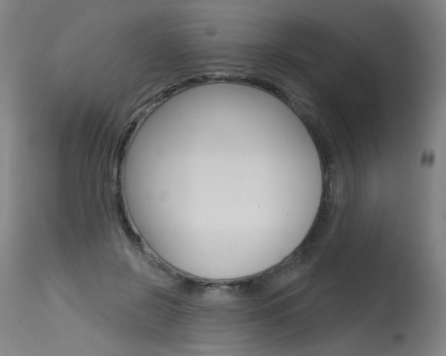 X0000115630550200911101121
