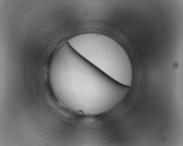 X0000115630551200911101121