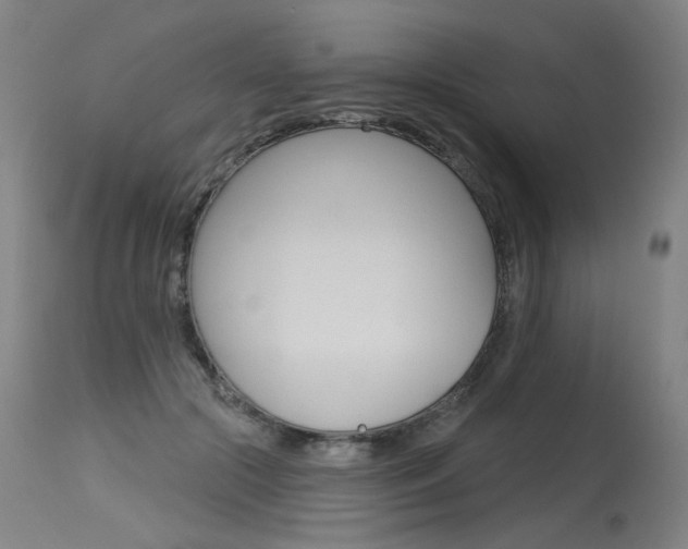 X0000115630553200911101121
