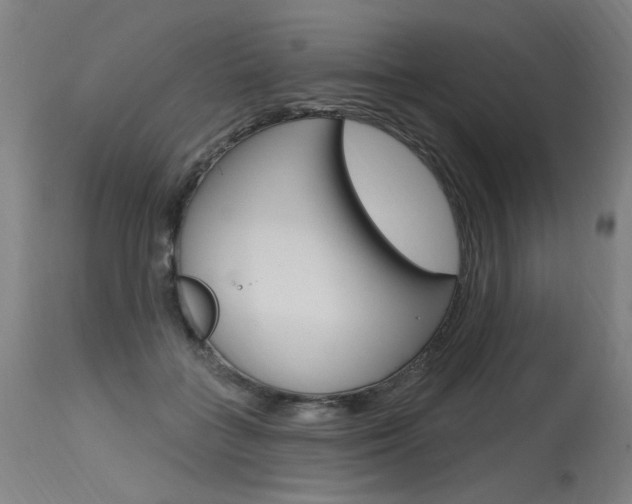 X0000115630555200911101121